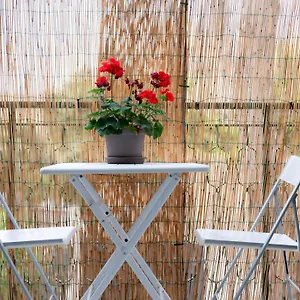 Appartamento Mondello Cottage, Mondello